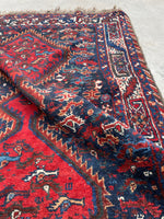 [vintage rugs] - Blue Parakeet Rugs