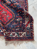 [vintage rugs] - Blue Parakeet Rugs