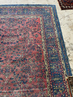 6' x 8'10 Antique Agra rug #2728 / 6x9 Rug - Blue Parakeet Rugs