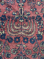 6' x 8'10 Antique Agra rug #2728 / 6x9 Rug - Blue Parakeet Rugs