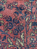 6' x 8'10 Antique Agra rug #2728 / 6x9 Rug - Blue Parakeet Rugs