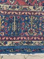 6' x 8'10 Antique Agra rug #2728 / 6x9 Rug - Blue Parakeet Rugs