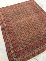 4'2 x 5'1 Square Afshar Rug (#413) - Blue Parakeet Rugs