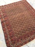 4'2 x 5'1 Square Afshar Rug (#413) - Blue Parakeet Rugs