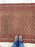 4'2 x 5'1 Square Afshar Rug (#413) - Blue Parakeet Rugs