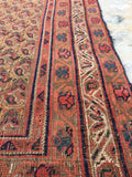 4'2 x 5'1 Square Afshar Rug (#413) - Blue Parakeet Rugs