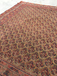 4'2 x 5'1 Square Afshar Rug (#413) - Blue Parakeet Rugs