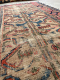 3'5 x 5'9 Worn camel ground Persian rug #2211 / 4x6 Vintage Rug - Blue Parakeet Rugs