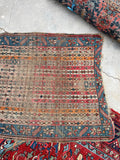 [vintage rugs] - Blue Parakeet Rugs