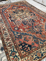[vintage rugs] - Blue Parakeet Rugs