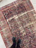 4'10 x 10'2 Worn to Perfection Mahal rug #2041 / 5x10 Vintage Rug - Blue Parakeet Rugs