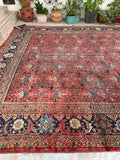 10'8 x 13'5 Antique Oversize Mahal village rug #2043 / 11x13 Vintage rug - Blue Parakeet Rugs
