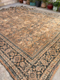 10'7 x 13'4 Antique Persian Mahal rug #2217 / 11x13 Vintage Rug - Blue Parakeet Rugs