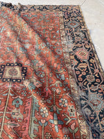 [vintage rugs] - Blue Parakeet Rugs