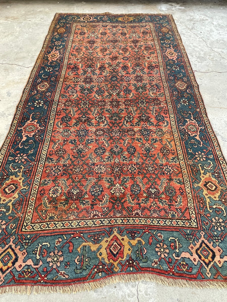 4'8 x 9' Antique Persian "Iron rug" Bidjar rug #2223 / 5x9 Vintage Rug - Blue Parakeet Rugs