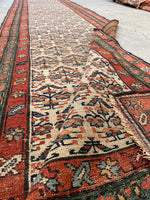 3'5 x 13'6 Antique 19th Century Runner #1886 / 3x14 Vintage Runner - Blue Parakeet Rugs