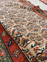 3'5 x 13'6 Antique 19th Century Runner #1886 / 3x14 Vintage Runner - Blue Parakeet Rugs