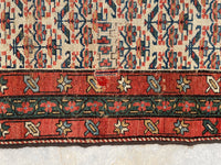 3'5 x 13'6 Antique 19th Century Runner #1886 / 3x14 Vintage Runner - Blue Parakeet Rugs