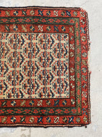 3'5 x 13'6 Antique 19th Century Runner #1886 / 3x14 Vintage Runner - Blue Parakeet Rugs