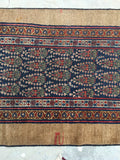 2'6 x 23'9 Camel Hair Antique Serab Rug / Long skinny Runner (#684) - Blue Parakeet Rugs
