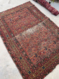 [vintage rugs] - Blue Parakeet Rugs