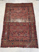 [vintage rugs] - Blue Parakeet Rugs