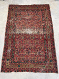 [vintage rugs] - Blue Parakeet Rugs