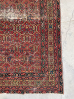 [vintage rugs] - Blue Parakeet Rugs