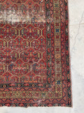 [vintage rugs] - Blue Parakeet Rugs