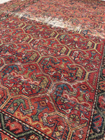 [vintage rugs] - Blue Parakeet Rugs