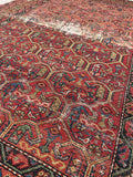 [vintage rugs] - Blue Parakeet Rugs