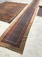 2'6 x 23'9 Camel Hair Antique Serab Rug / Long skinny Runner (#684) - Blue Parakeet Rugs