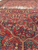 [vintage rugs] - Blue Parakeet Rugs