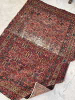 [vintage rugs] - Blue Parakeet Rugs