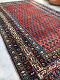 4x7 Antique Malayer / Small Oriental Rug - Blue Parakeet Rugs