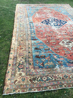 12 x 19 Oversize &  Timeworn 19th Century Antique Serapi rug - Blue Parakeet Rugs