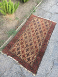2'4" x 4'2" Antique Baluch Rug / Small Antique Rug - Blue Parakeet Rugs