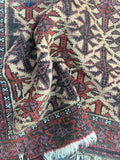 2'4" x 4'2" Antique Baluch Rug / Small Antique Rug - Blue Parakeet Rugs