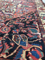 9' x 11'4" Antique Oriental Rug - Bakhtiari - Blue Parakeet Rugs