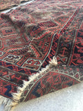 2'7" x 4'8" Antique Baluch Rug / Small Oriental Rug - Blue Parakeet Rugs