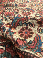 3'4" x 5'9" Ivory Rug / 19th Century Rug / Small Vintage Oriental Rug - Blue Parakeet Rugs