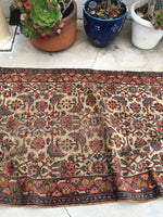 3'4" x 5'9" Ivory Rug / 19th Century Rug / Small Vintage Oriental Rug - Blue Parakeet Rugs