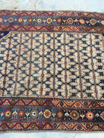 4'7" X 6'7 Antique Malayer / Small Vintage Rug / Antique Rug / Senneh Weave - Blue Parakeet Rugs