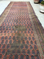 3'3" x 10'10" Antique Bakhtiari Runner /  Rug Runner - Blue Parakeet Rugs