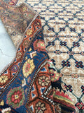 4'7" X 6'7 Antique Malayer / Small Vintage Rug / Antique Rug / Senneh Weave - Blue Parakeet Rugs