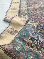 4'6" x 10' Antique Persian Camel Hair rug #1925C / 5x10 Vintage Rug - Blue Parakeet Rugs
