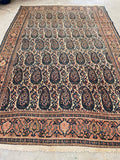 4’3 x 6’2  Antique Persian Senneh #2362 / Small Persian Rug - Blue Parakeet Rugs