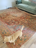 9'2 x 11'5 finely woven antique Persian Malayer (#1090ML) - Blue Parakeet Rugs