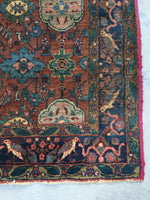 [vintage rugs] - Blue Parakeet Rugs