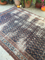 [vintage rugs] - Blue Parakeet Rugs